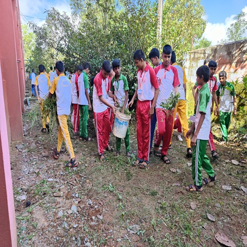 Image 10